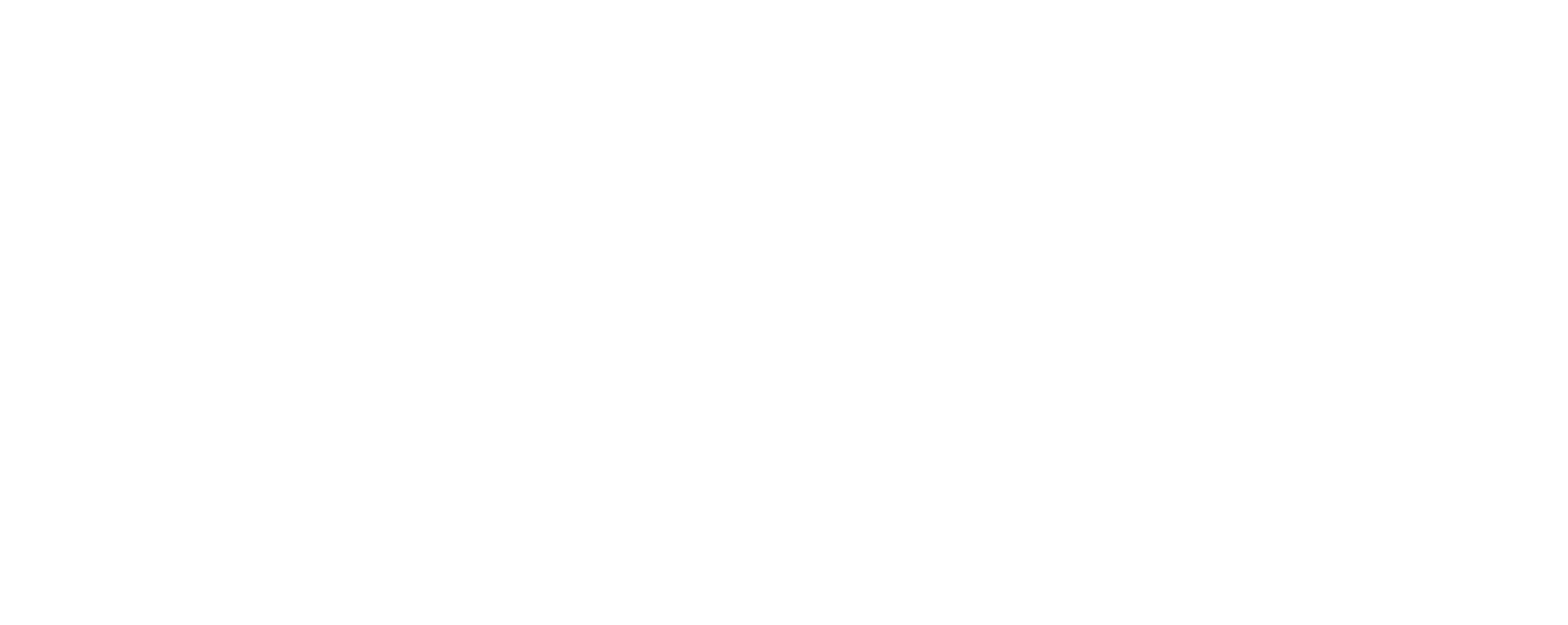 Logo APJI IIX